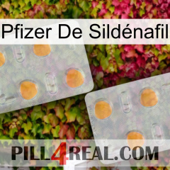 Pfizer De Sildénafil 25